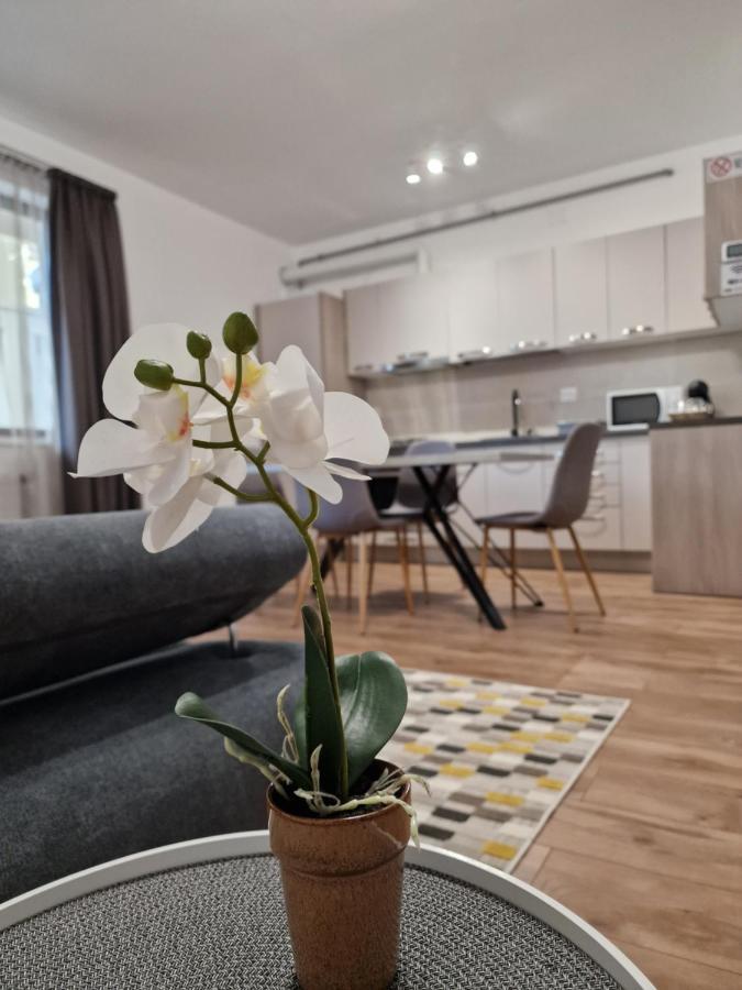 Vic Apartament Drobeta Turnu Severin Exterior foto